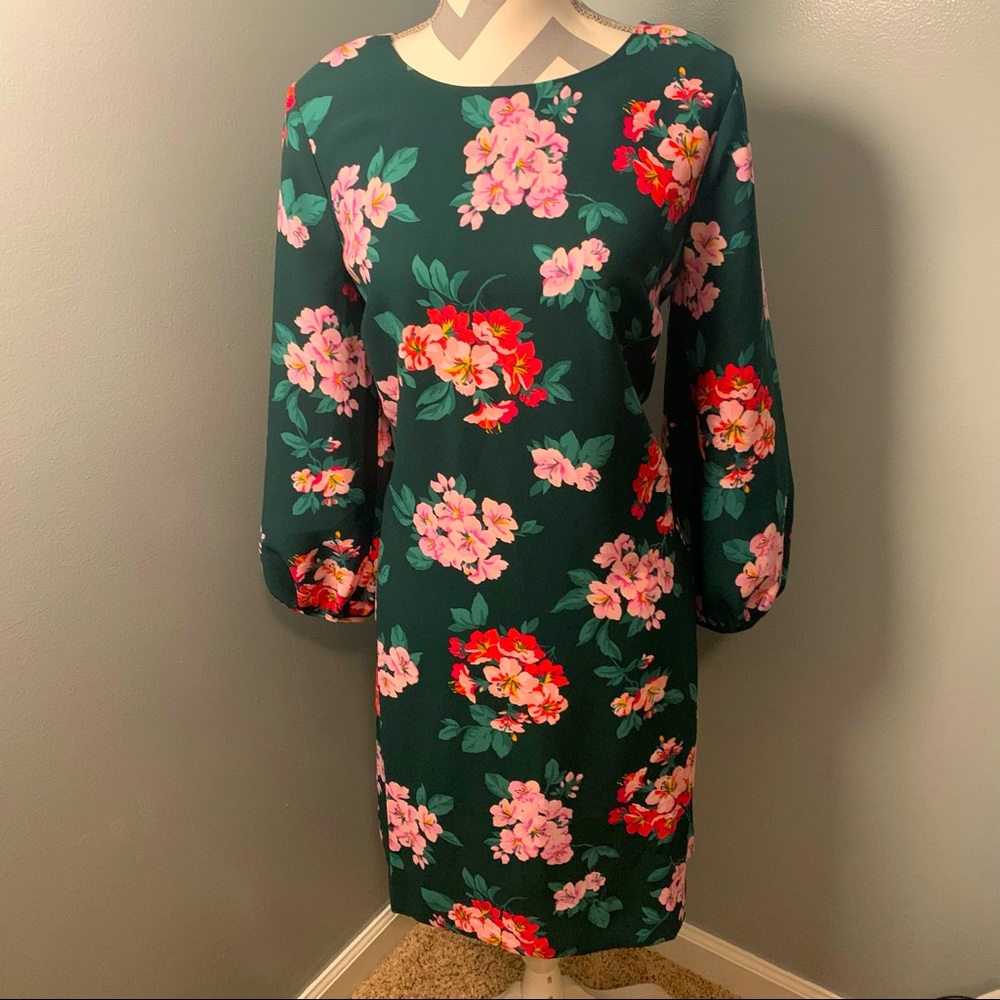 Stunning Ann Taylor botanical dress NWT 12